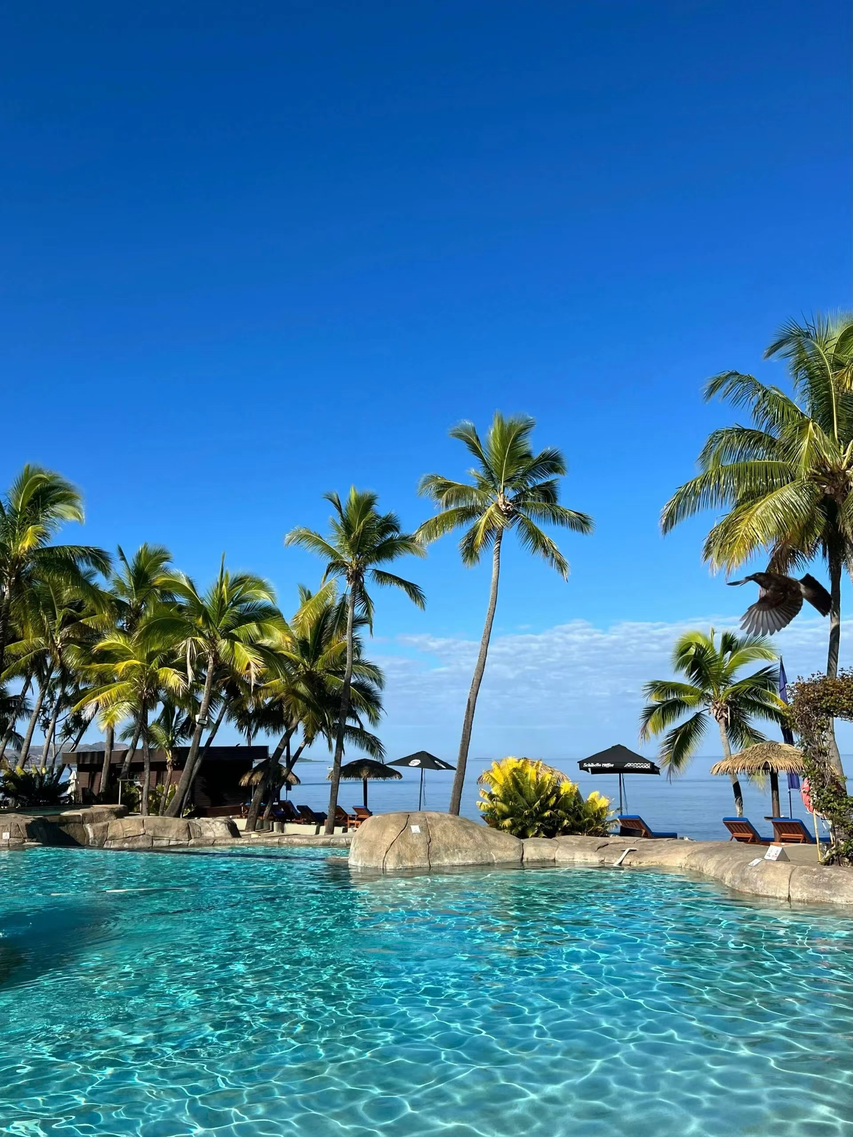 斐济碧海蓝天的快乐时光