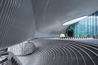 雅安中国保护大熊猫研究中心雅安碧峰峡基地游玩攻略-中国保护大熊猫