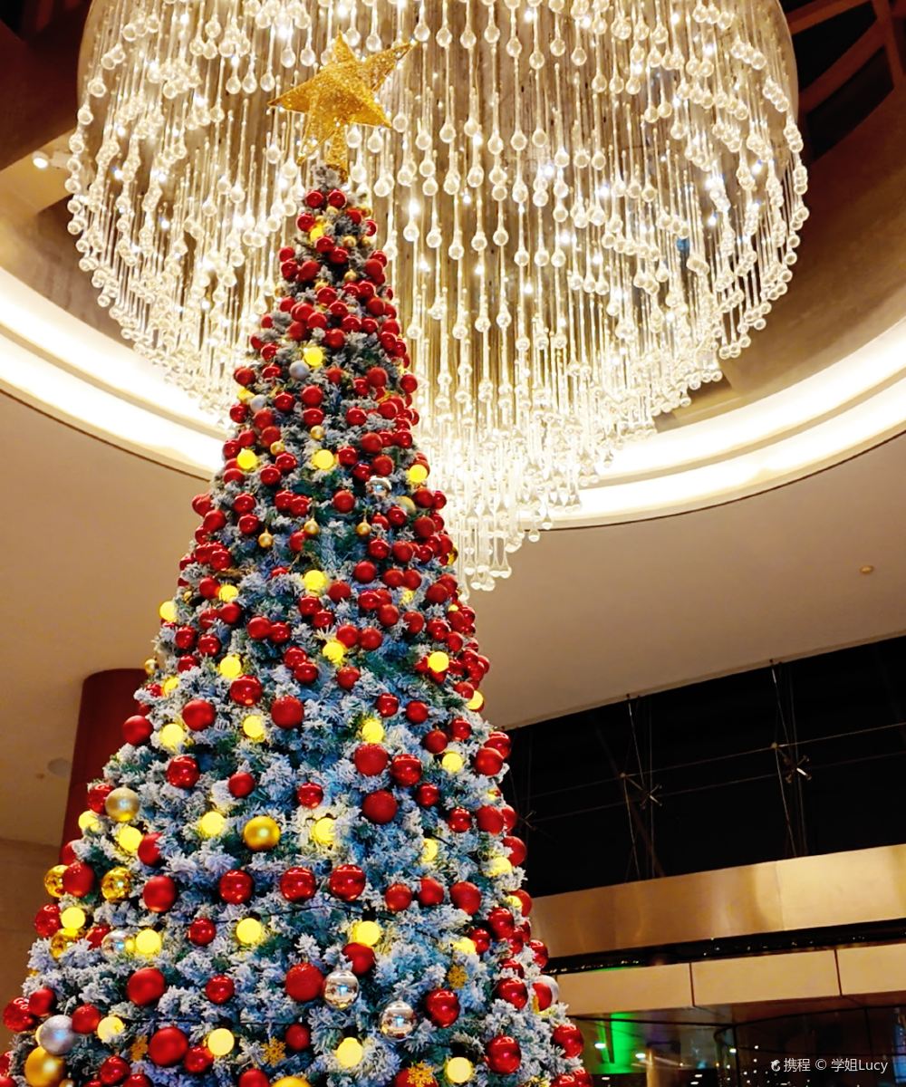 上海千禧海鸥大酒店图片