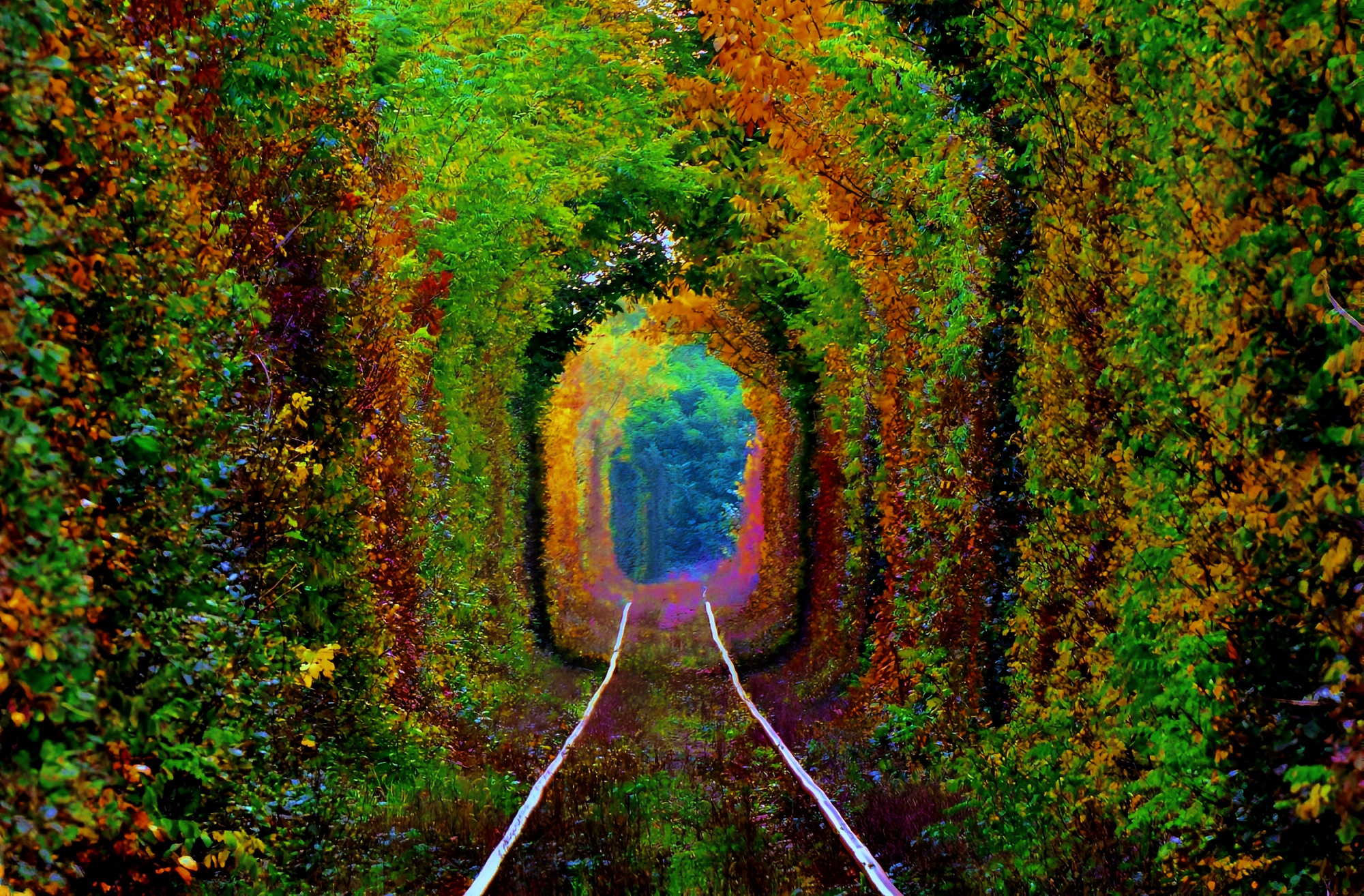 因为一张照片而走红全球的隧道