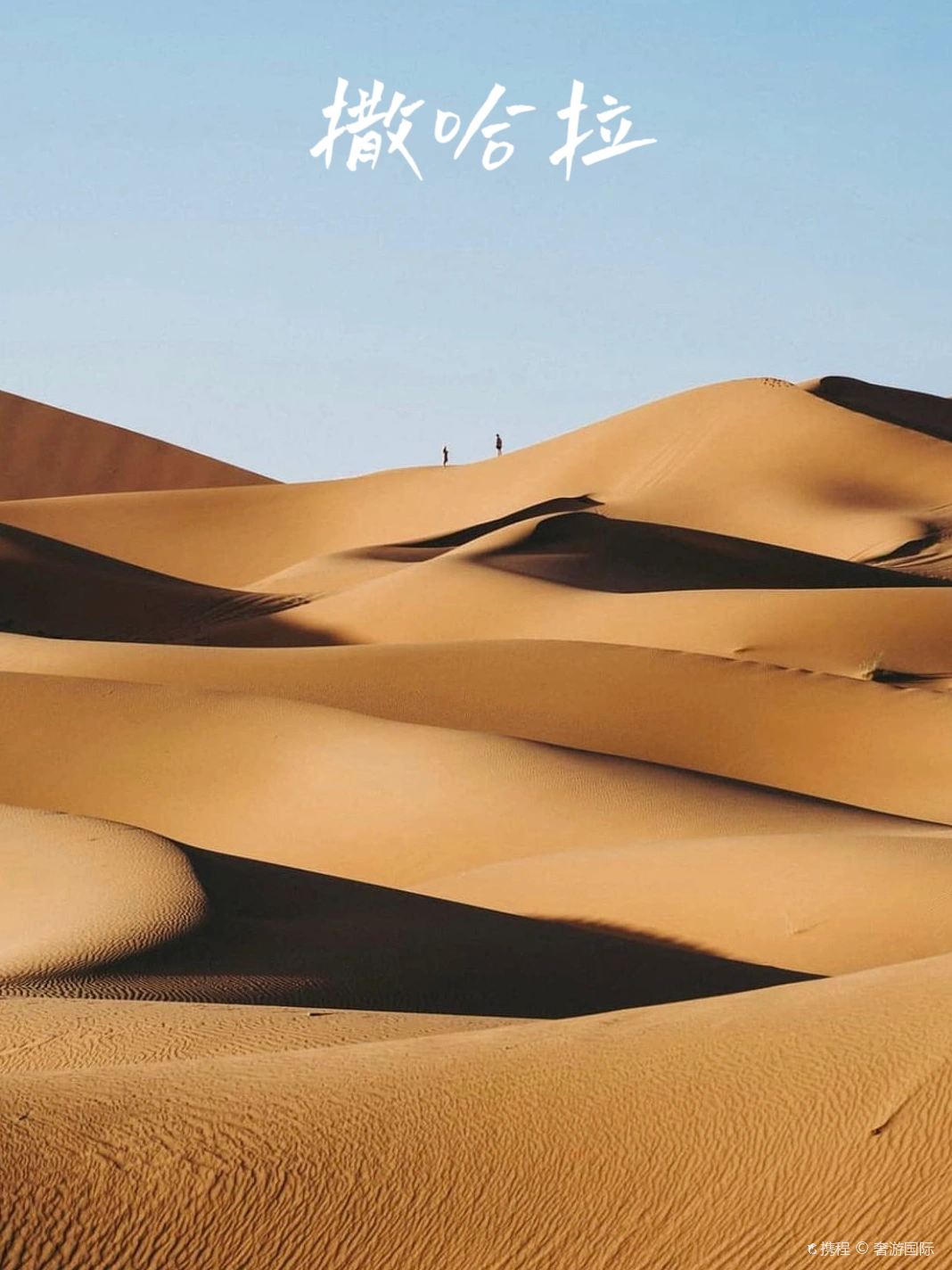 走进三毛笔下真实的「撒哈拉沙漠」🏜️