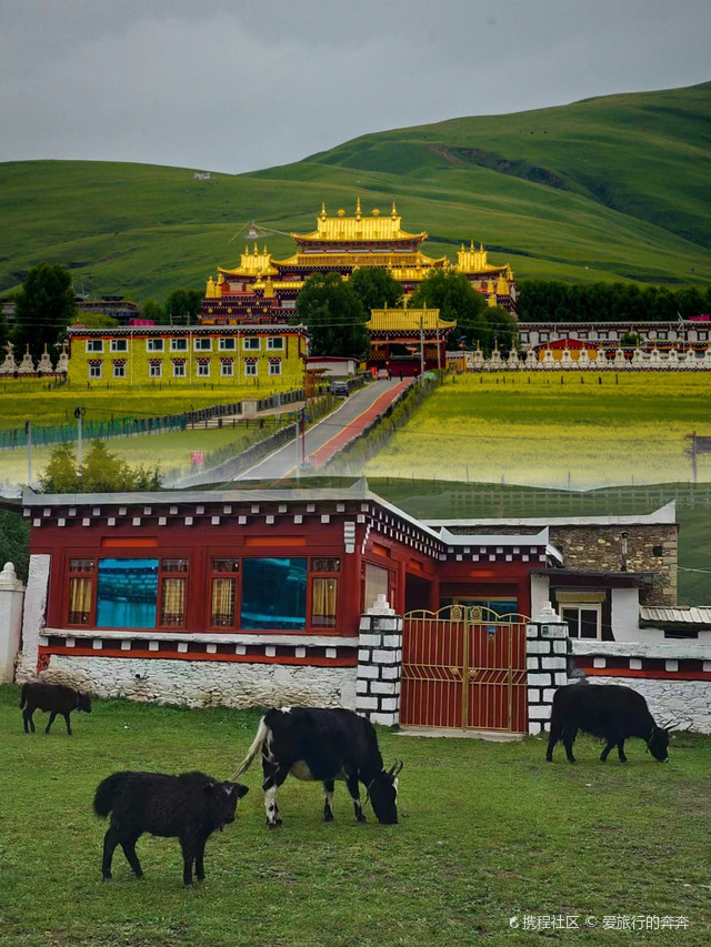 惠远寺游玩攻略来啦_超全干货