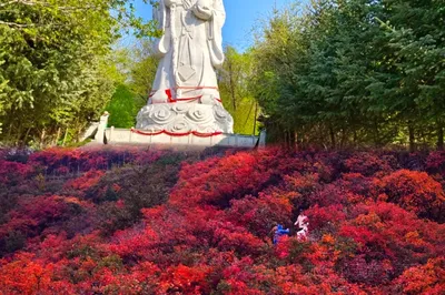 长寿山国家森林公园