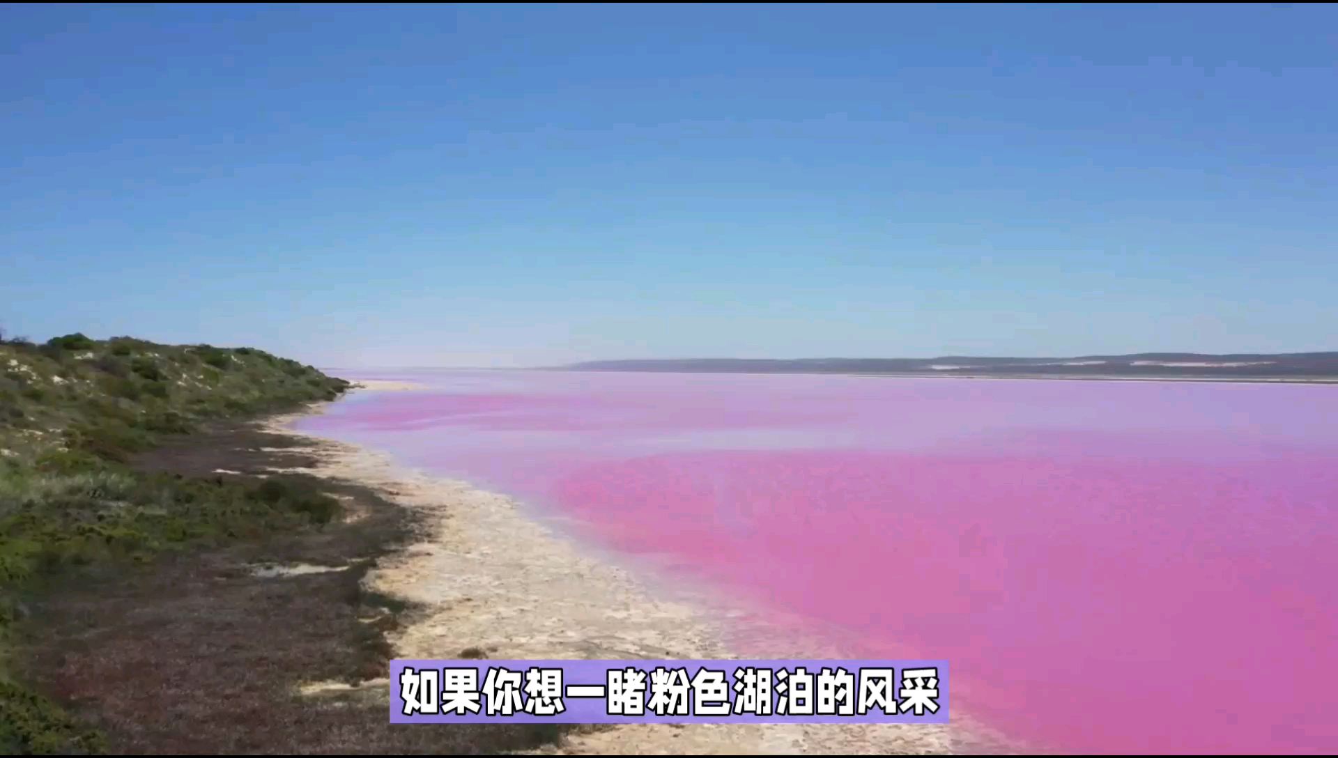 西澳梦幻粉湖：童话般的粉色奇观