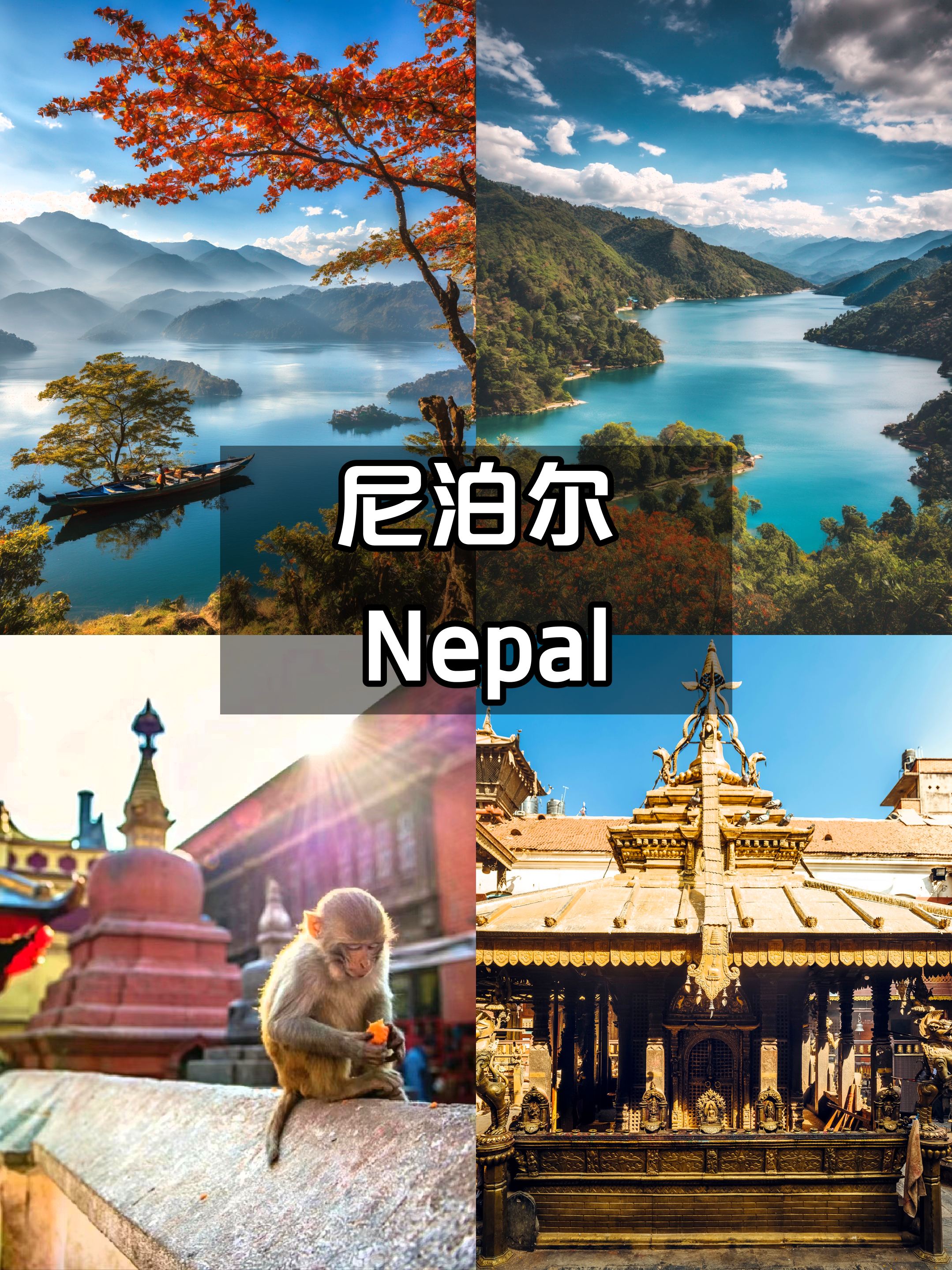 尼泊尔旅行🎒回来就想再去😭真香了❗