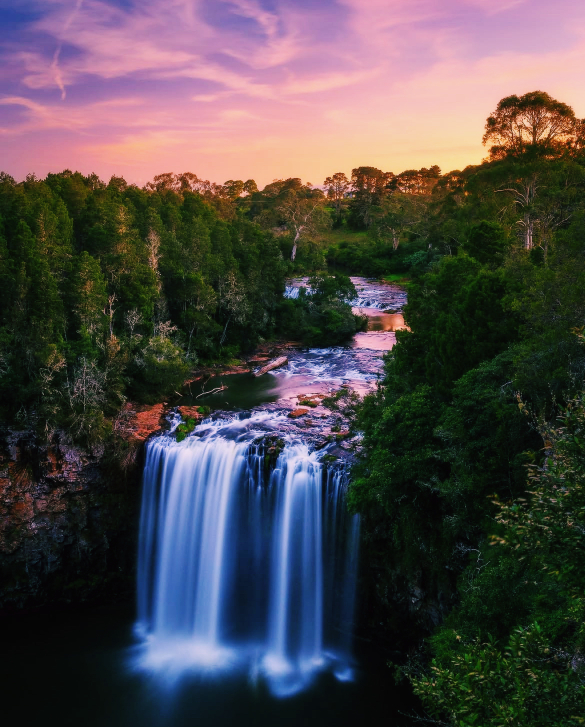 Coffs Harbour Fishermen's Co-Op