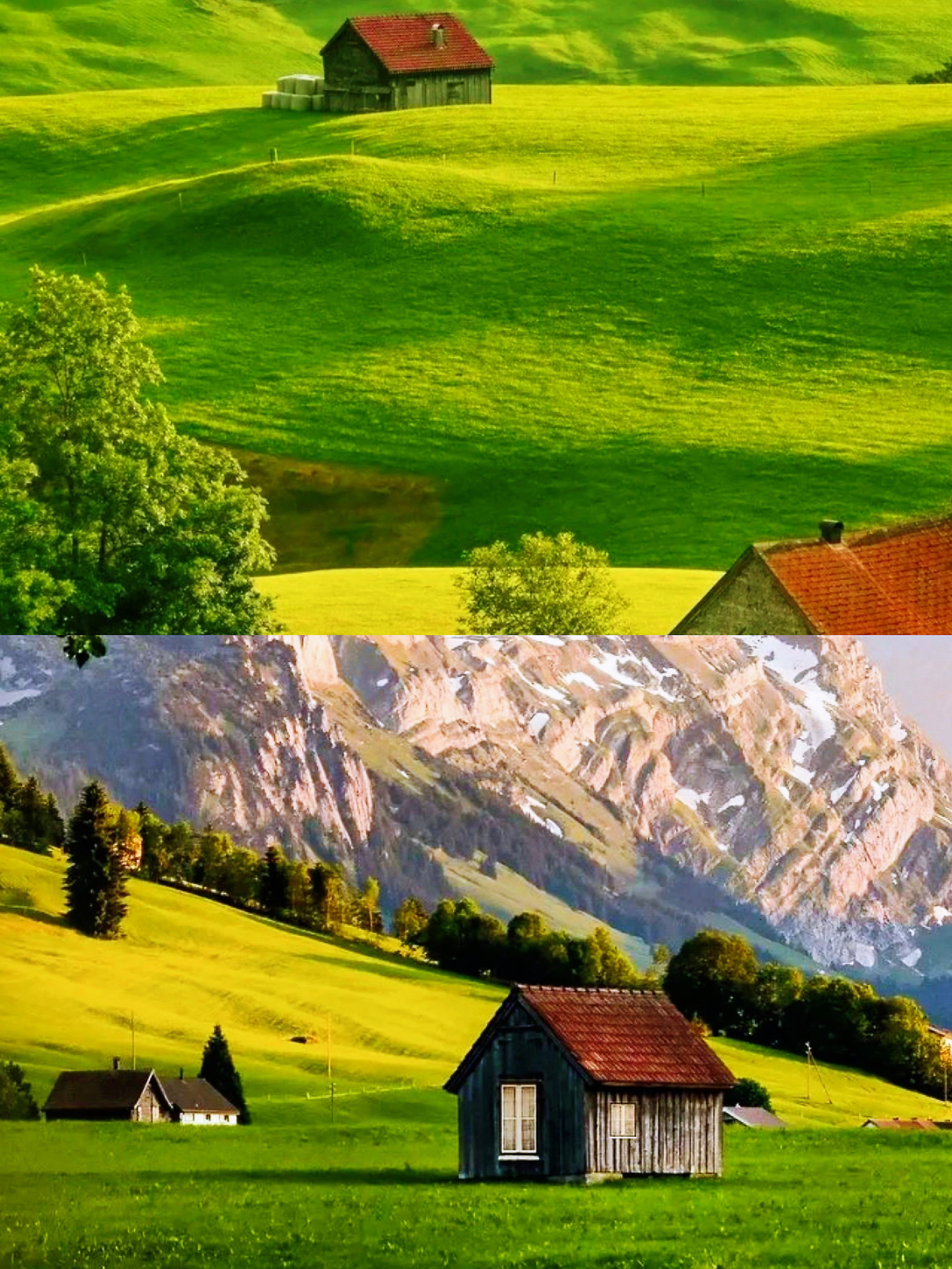 如果你去瑞士—— 仙境般的夏天