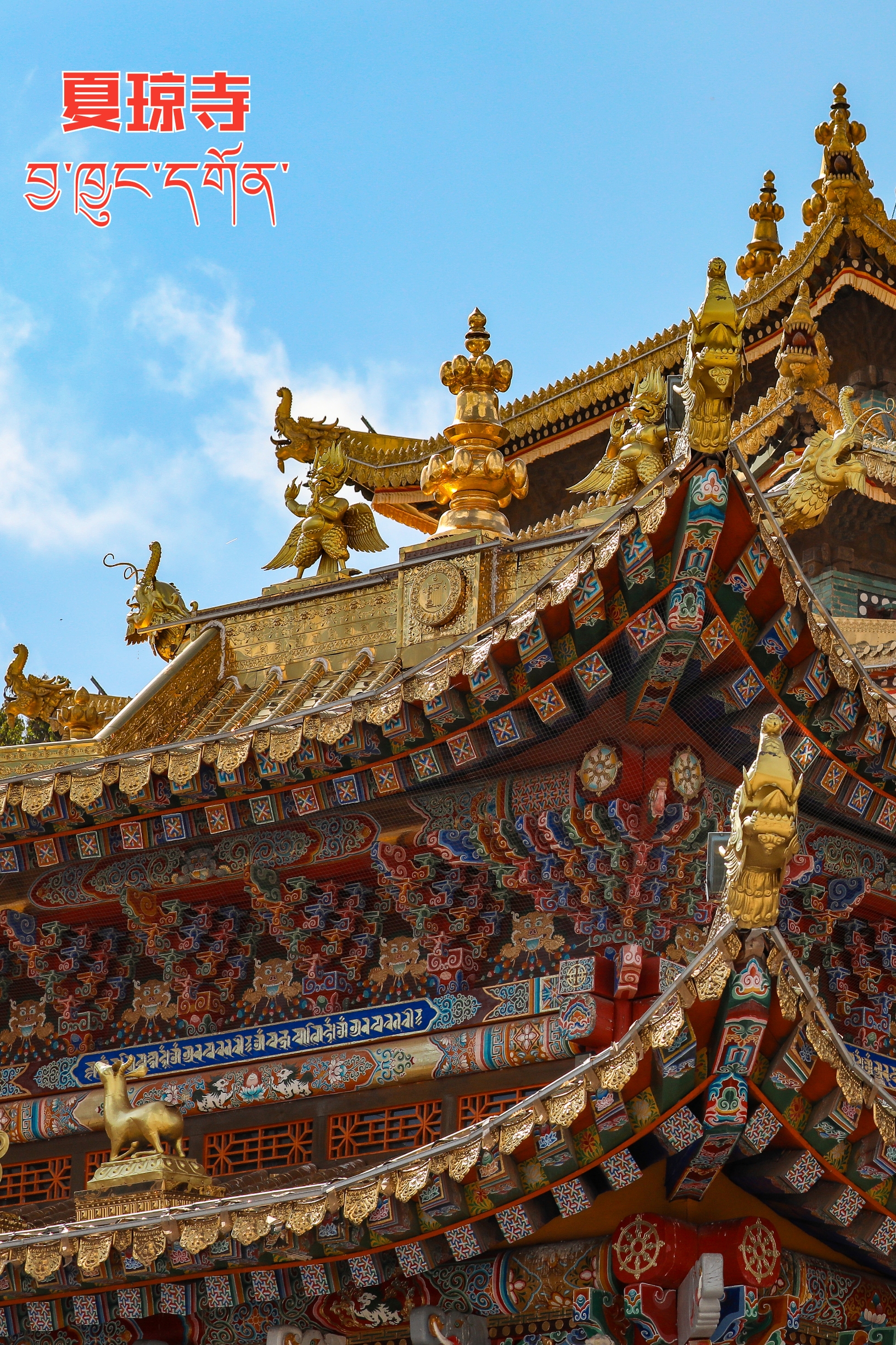 夏琼寺，位于距离西宁两小时左右车程的化隆县查甫乡，这座始建于1349年的寺庙在藏区享有盛名，寺庙的创