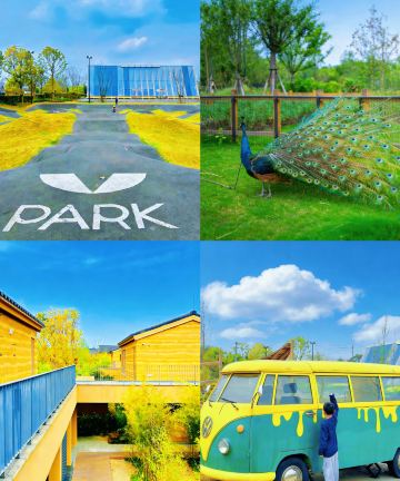 成都温江悦椿酒店图片