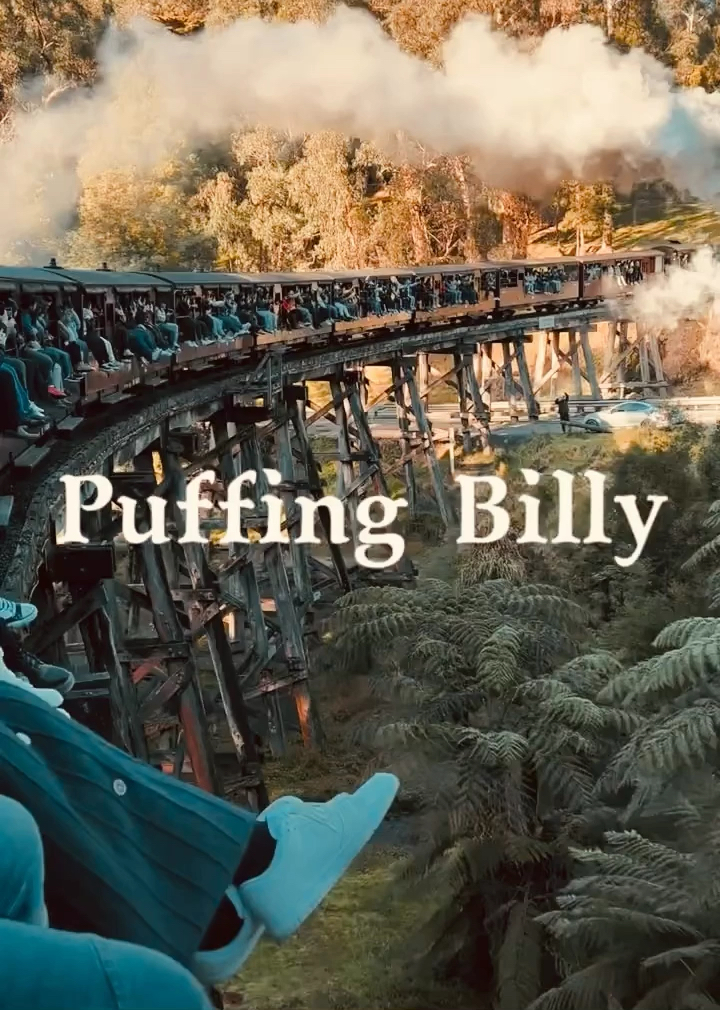 Puffng Billy鷄