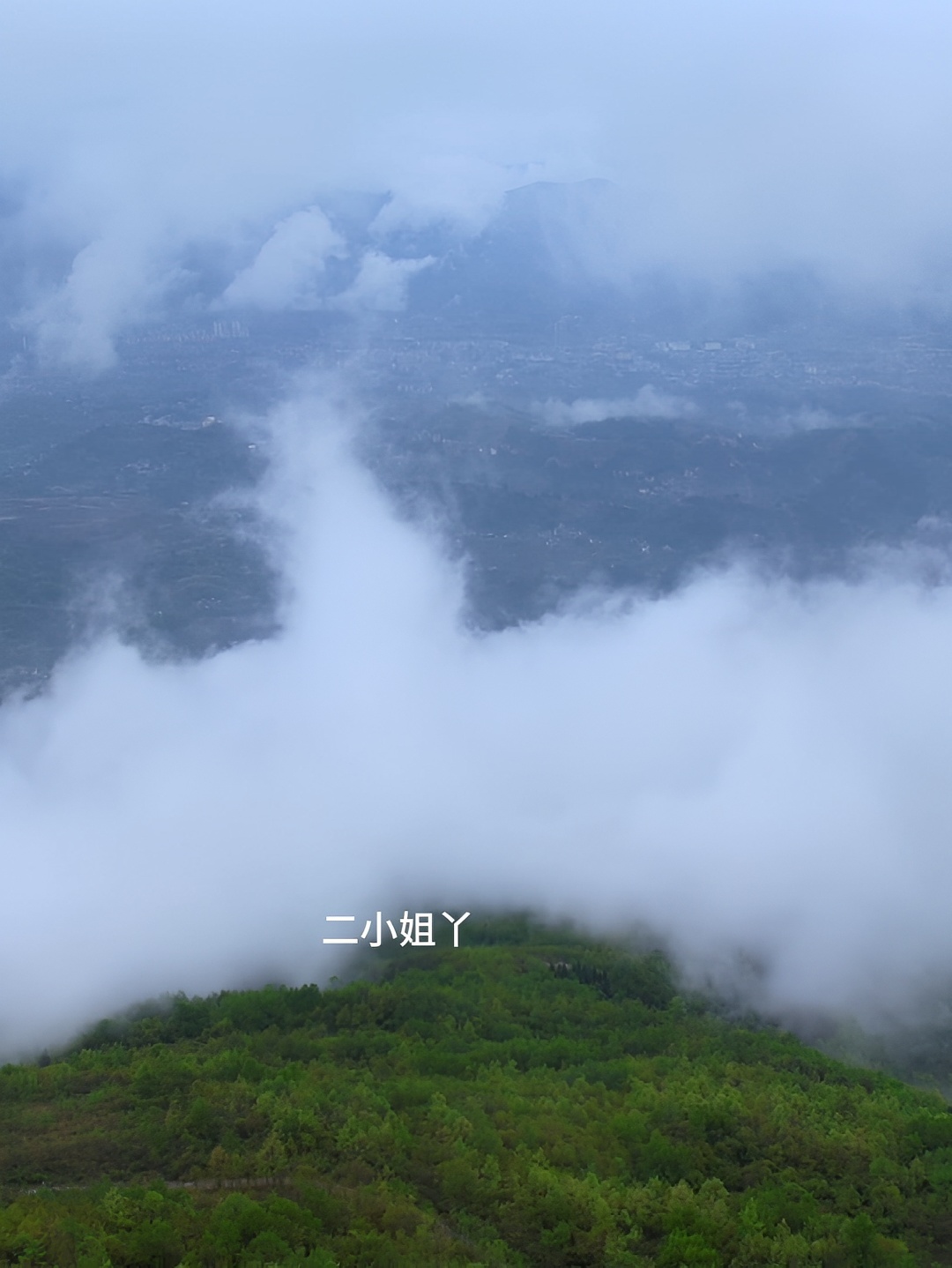 云雾缭绕人间仙境，这里是贵州省正安县吉他之乡 #正安吉他之乡 #云雾缭绕的人间仙境 #感受大自然的美