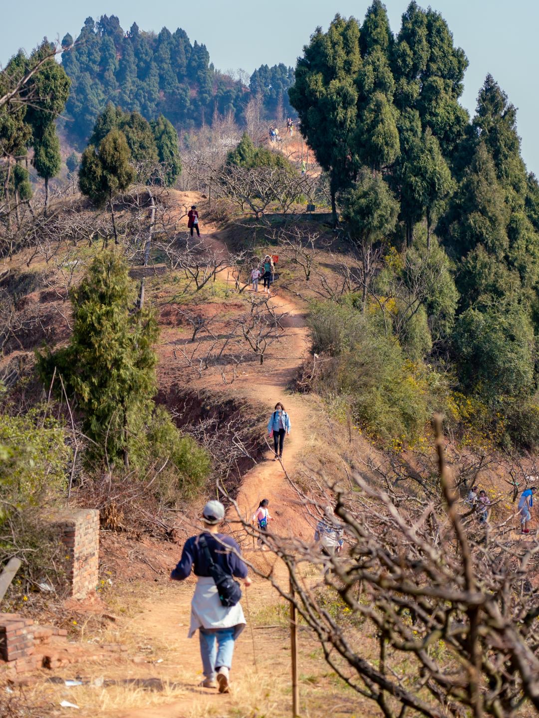 龙泉山风景区