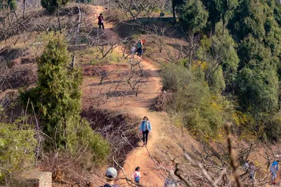 龙泉山风景区