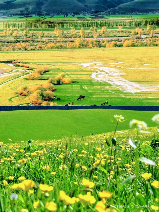 喀拉峻草原位于新疆伊犁哈萨克自治州特克斯县境内.