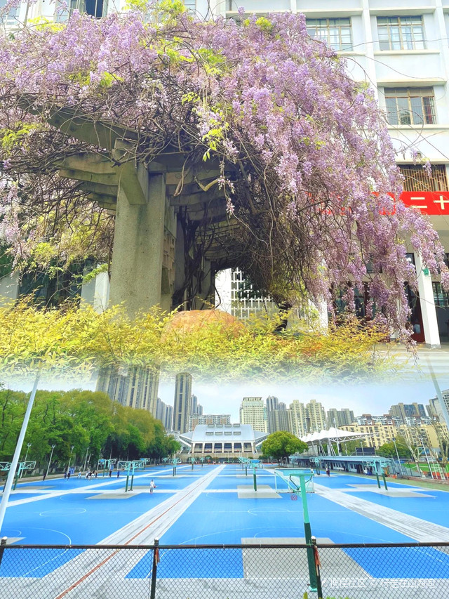 华中科技大学森林大学,华中科技大学图标_大山谷图库