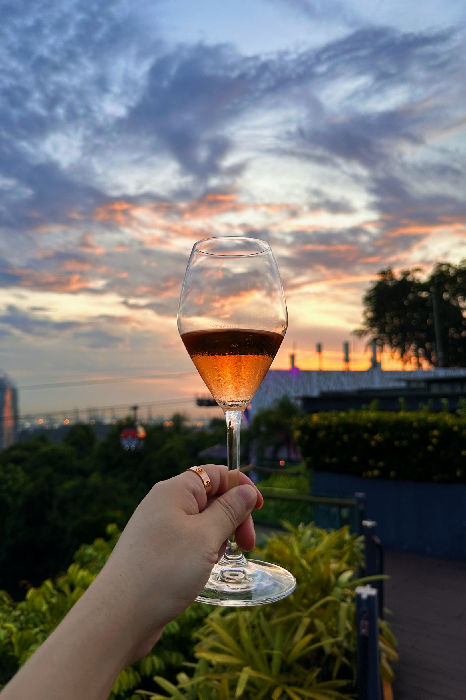 Dusk @ Mount Faber Peak