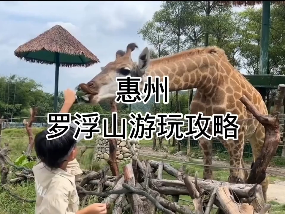 #自驾游广东 #惠州罗浮山旅游攻略 #周末去哪儿