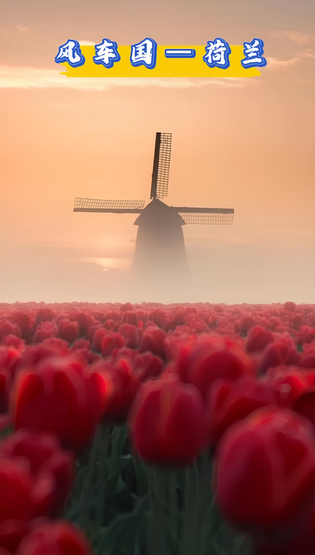 风车国——🇳🇱荷兰