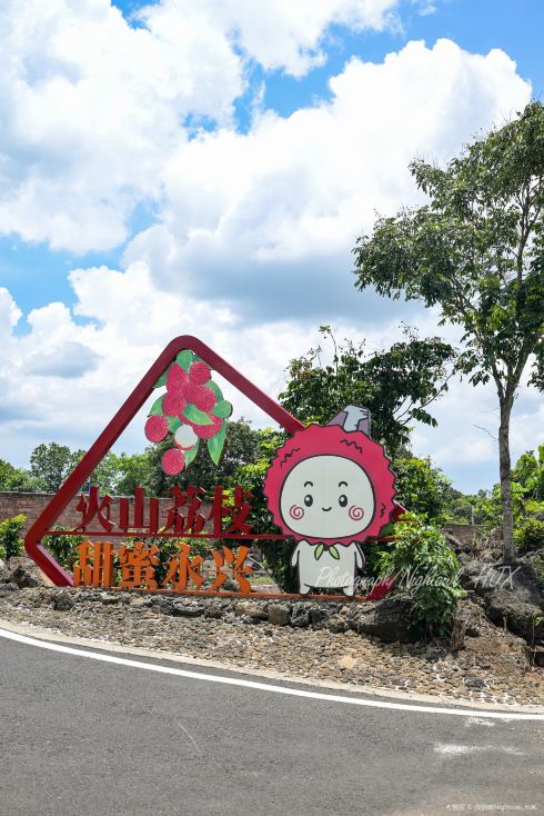 荔枝花海