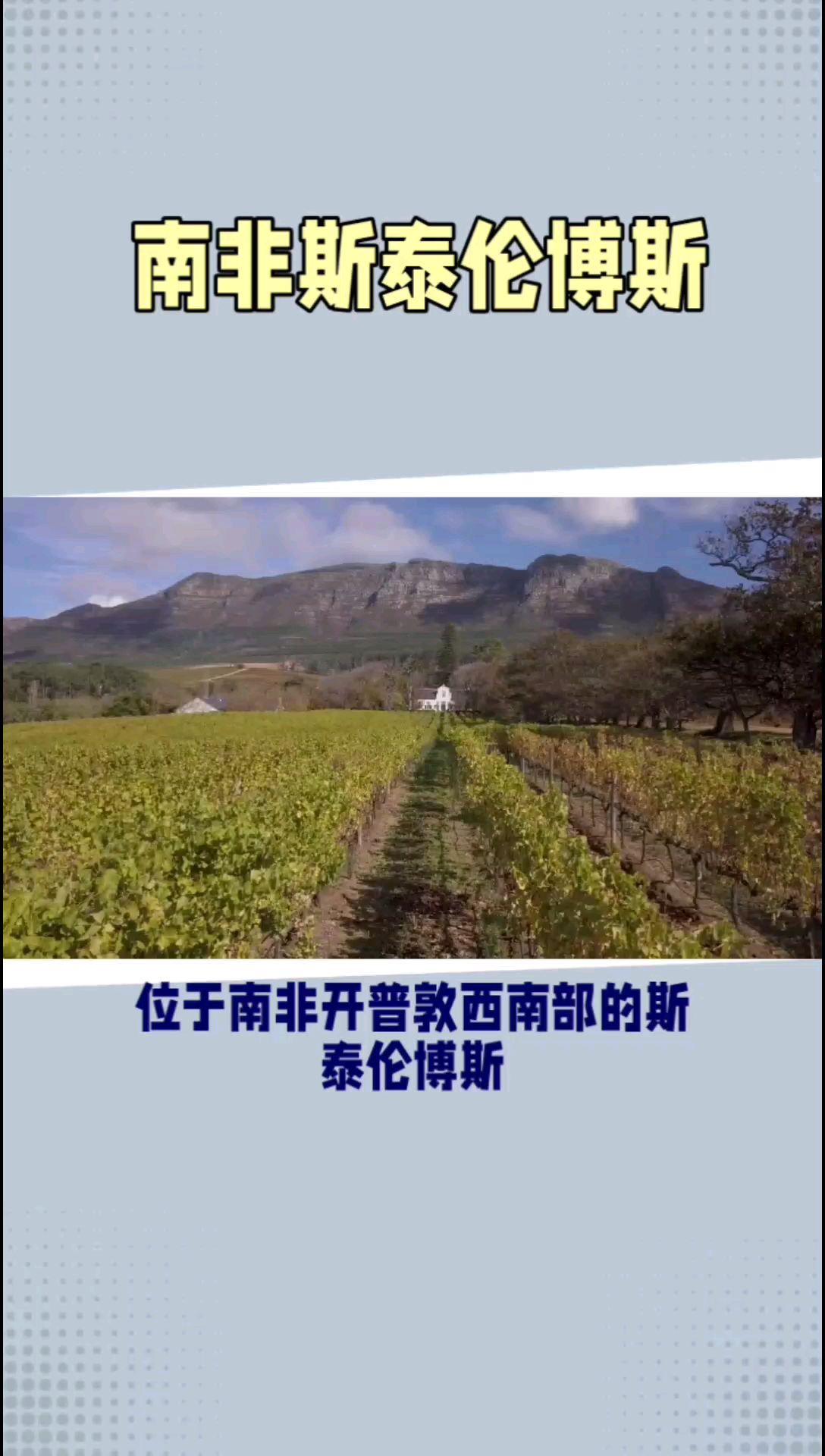 斯泰伦博斯：南非葡萄酒之乡