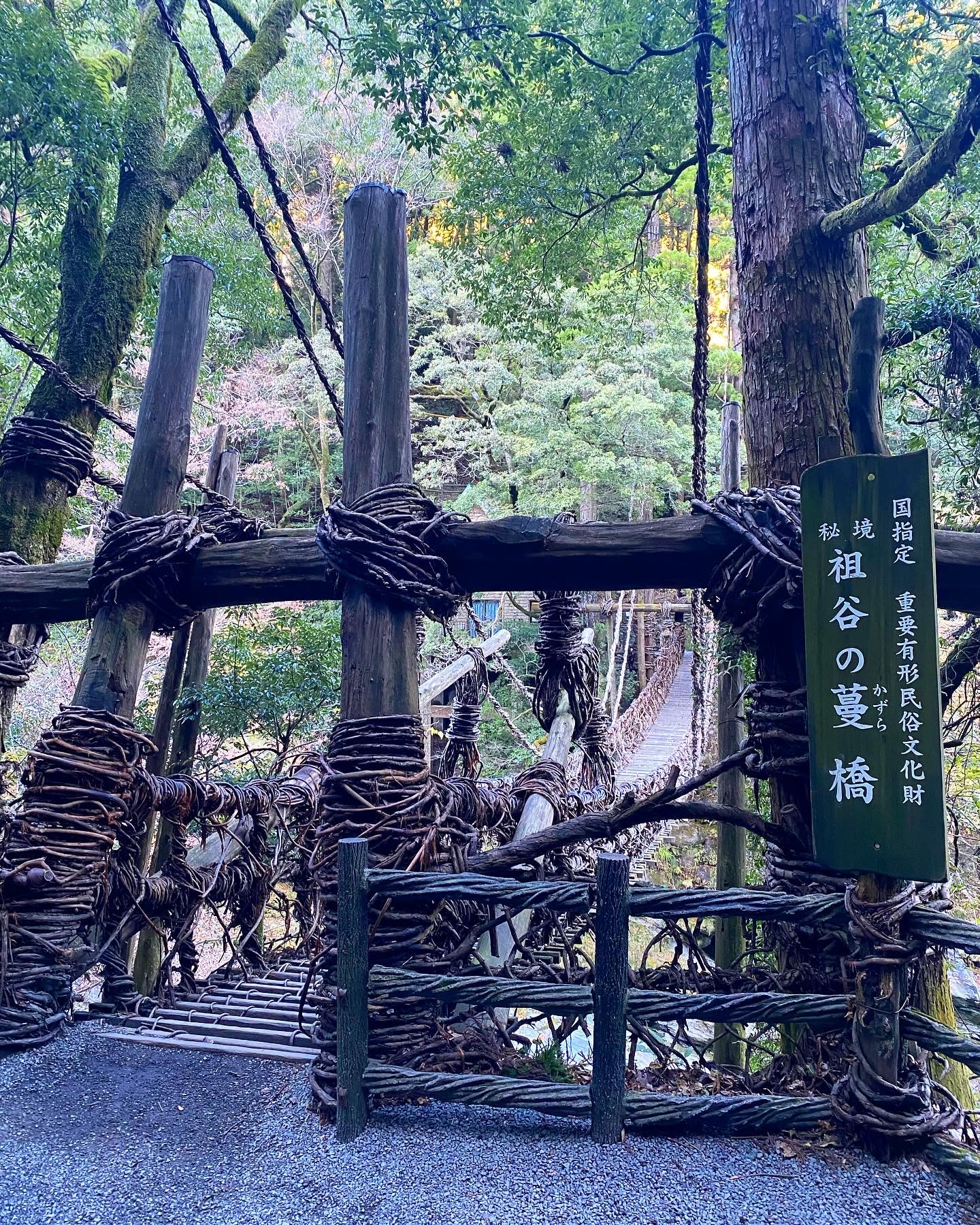四国之德岛游 | 自驾探险日本秘境祖谷蔓桥