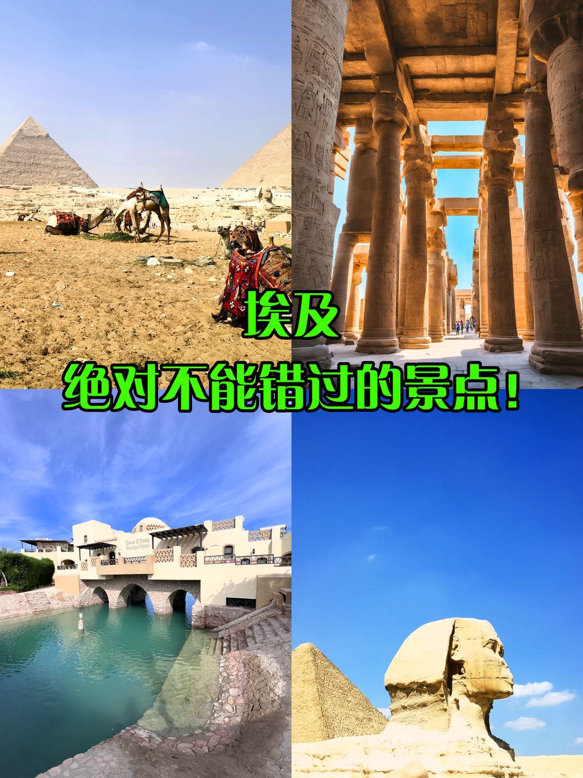 埃及旅行记📸|一场说走就走的冒险😎