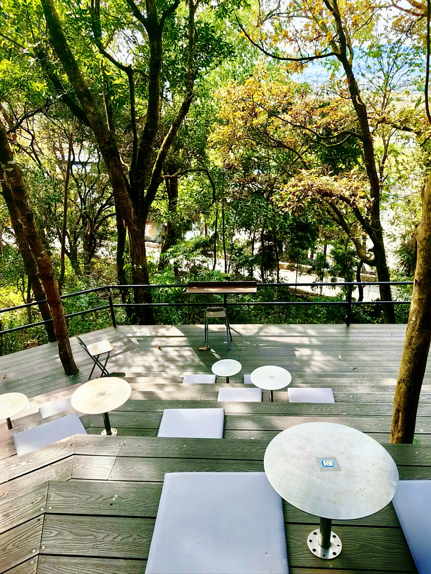 鸟鸣涧野生菌森林餐厅餐厅图片