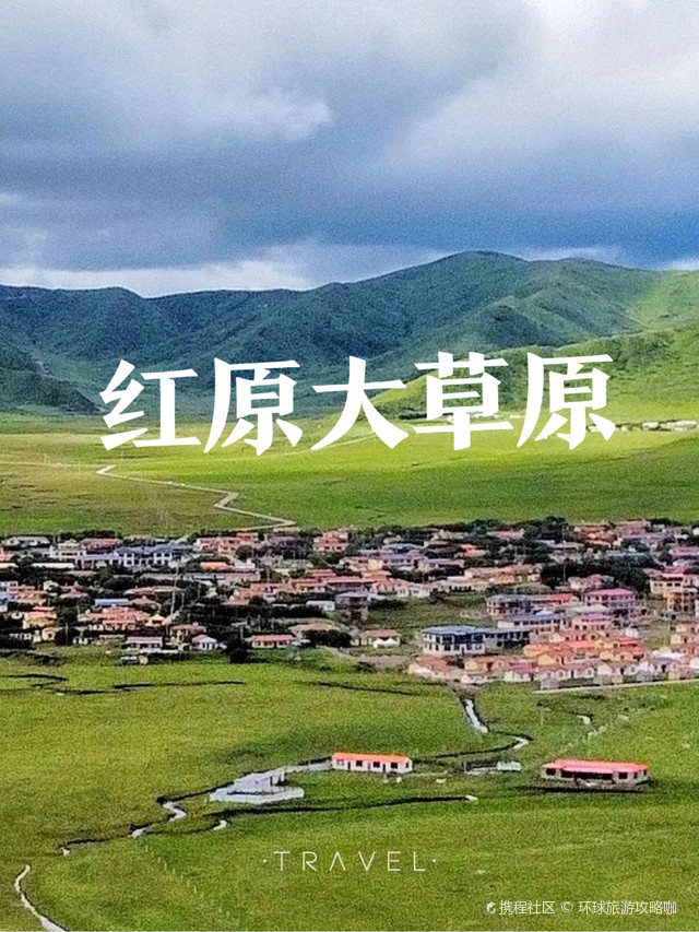 红原大草原:七月的梦幻花海之旅