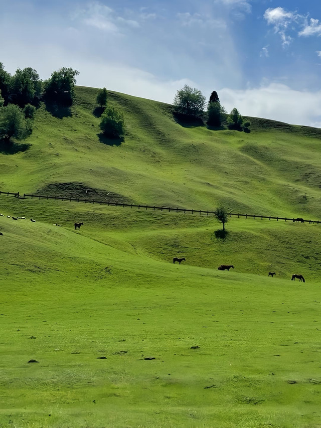 先生污免费在线看遭封禁引发热议，网友呼吁加强监管，平台回应整改计划，行业秩序迎来新规范