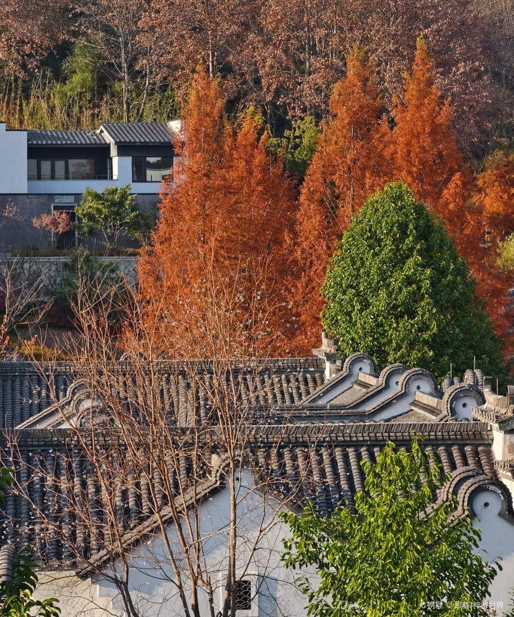 黄山悦榕庄图片