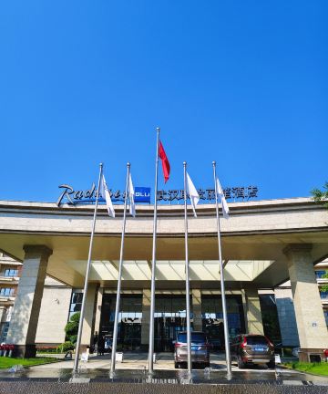 武汉联投丽笙酒店图片