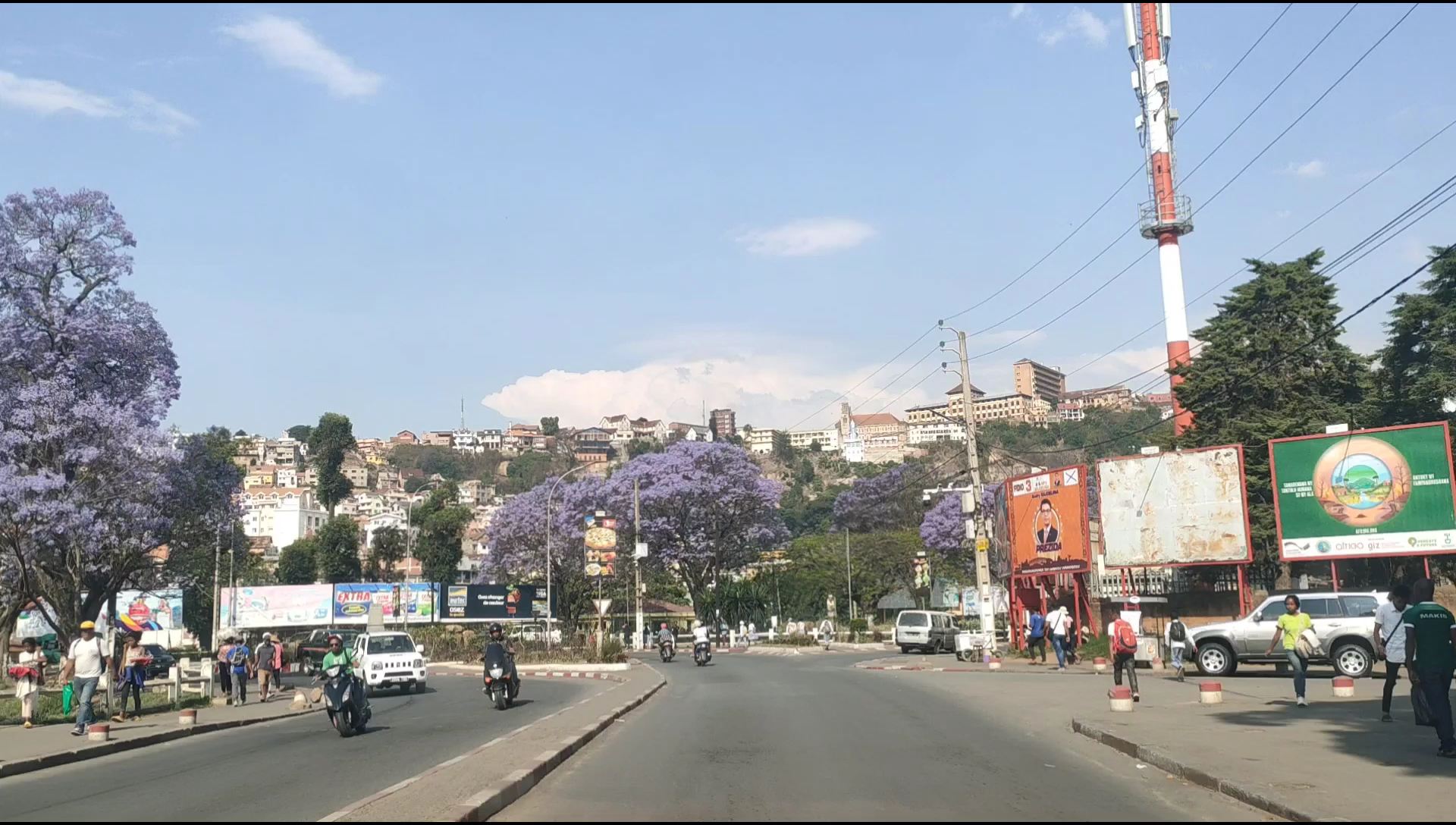 一路蓝花楹——马达加斯加首都
