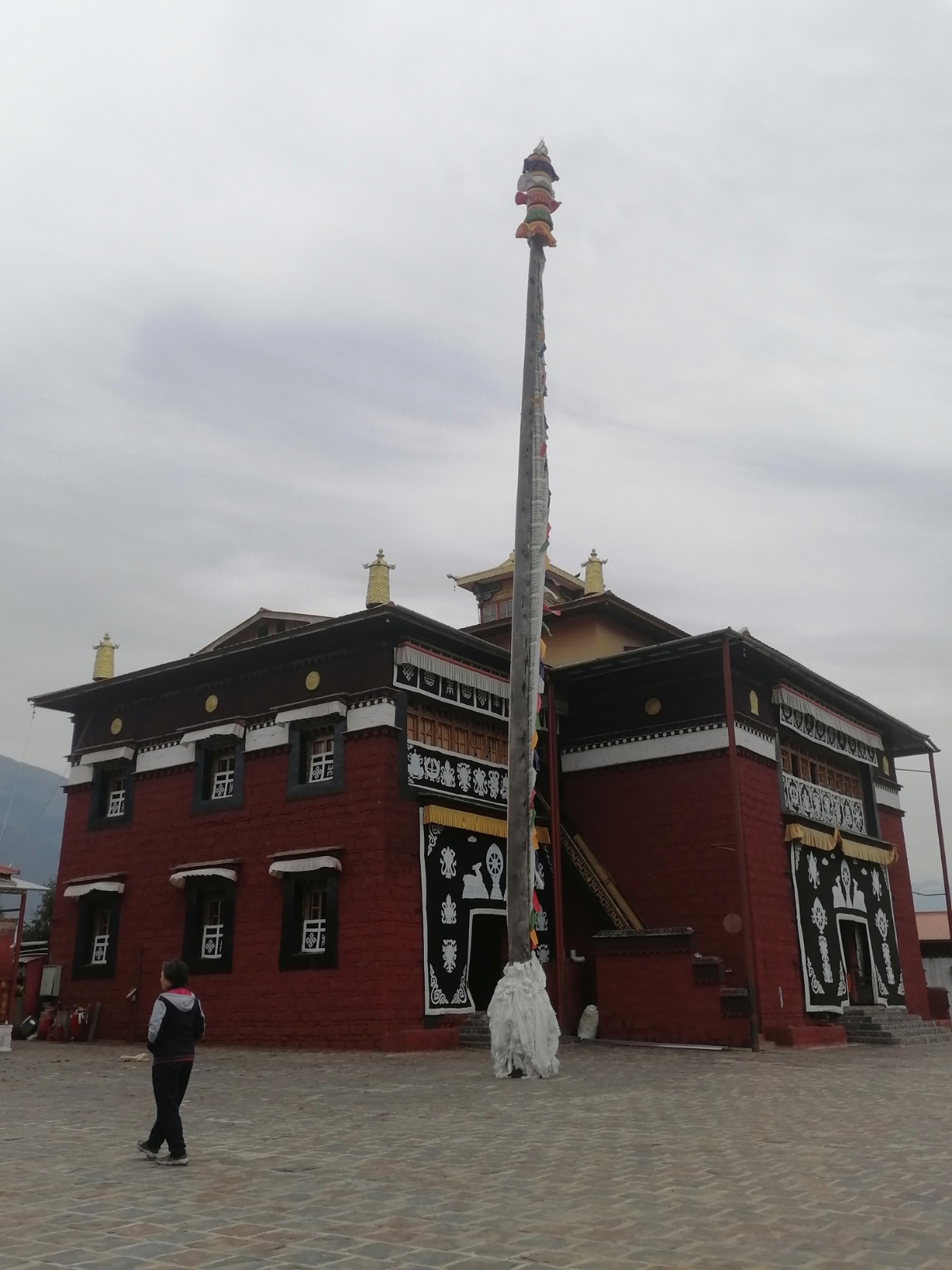4月23旧西藏亚东县一下亚东乡一夏日村一嘎举寺一乃堆拉杜鹃花海。本来想去原始森林国门玩一玩，但普通游