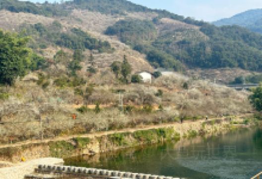 石竹草兔馆(首创店)美食图片