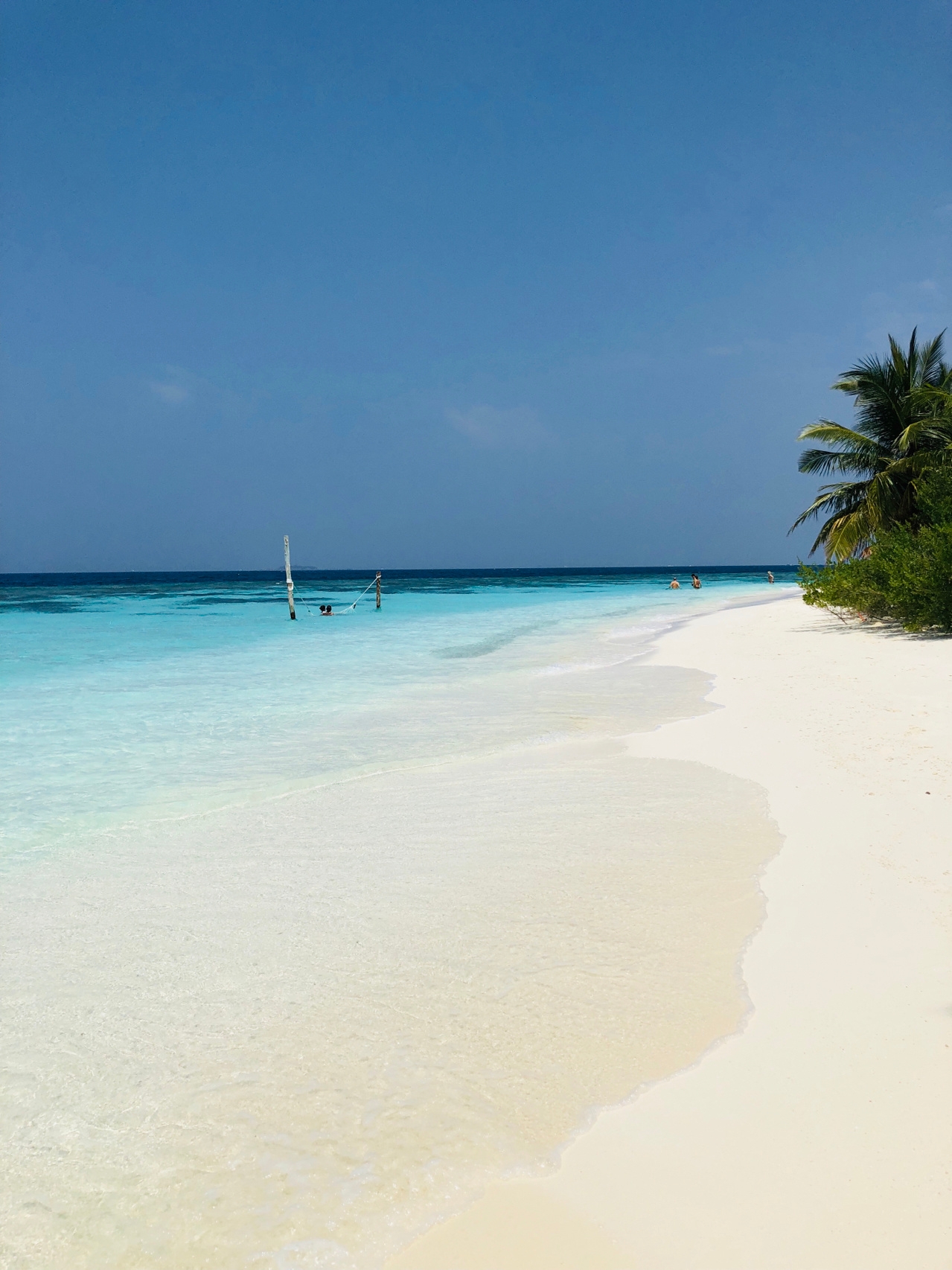 马尔代夫 🇲🇻天堂岛💙