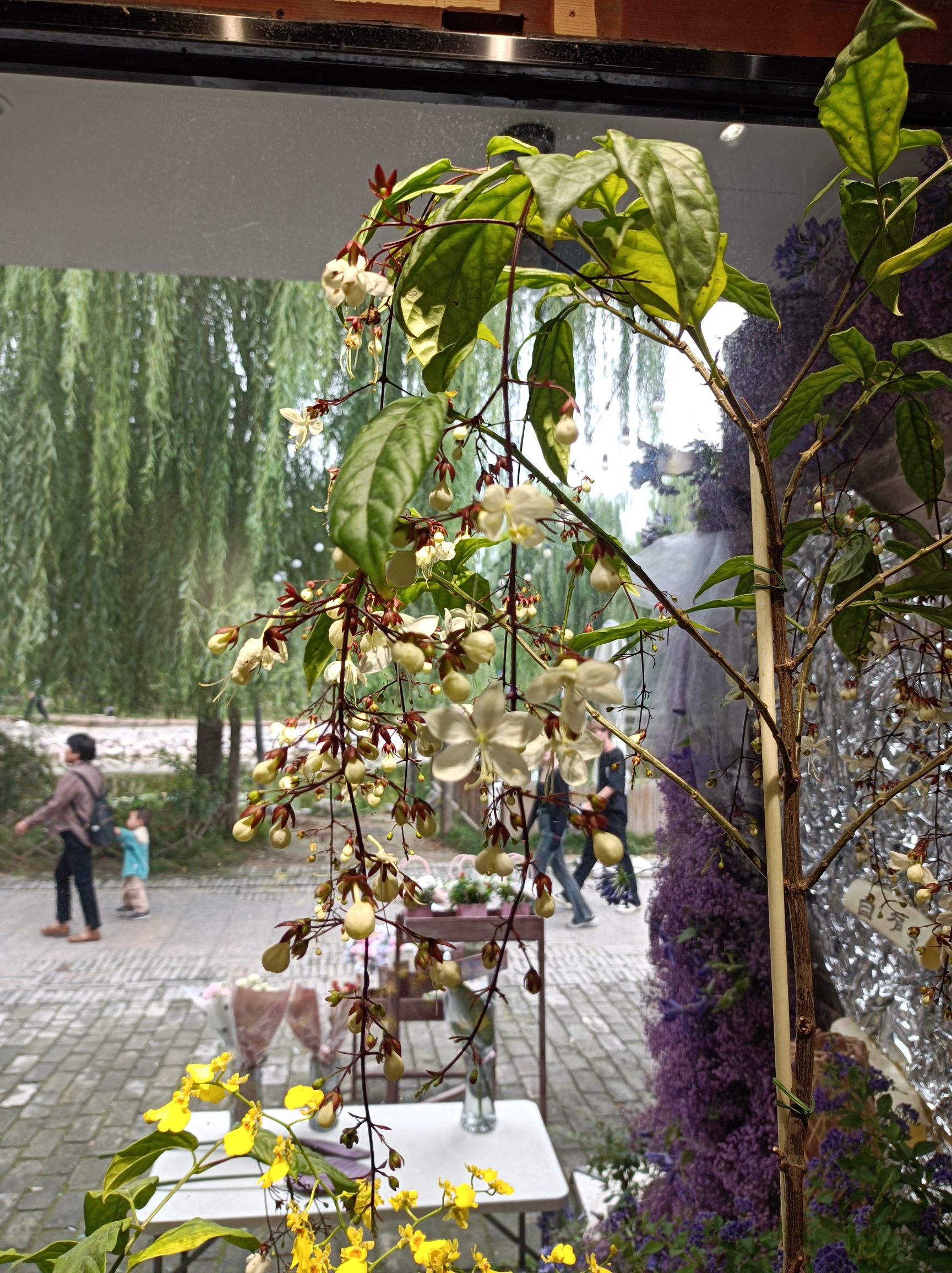 郑州春节周边一小时的免费景点推荐之同盟古镇，