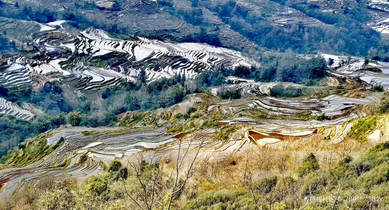 #哈尼梯田观赏期至