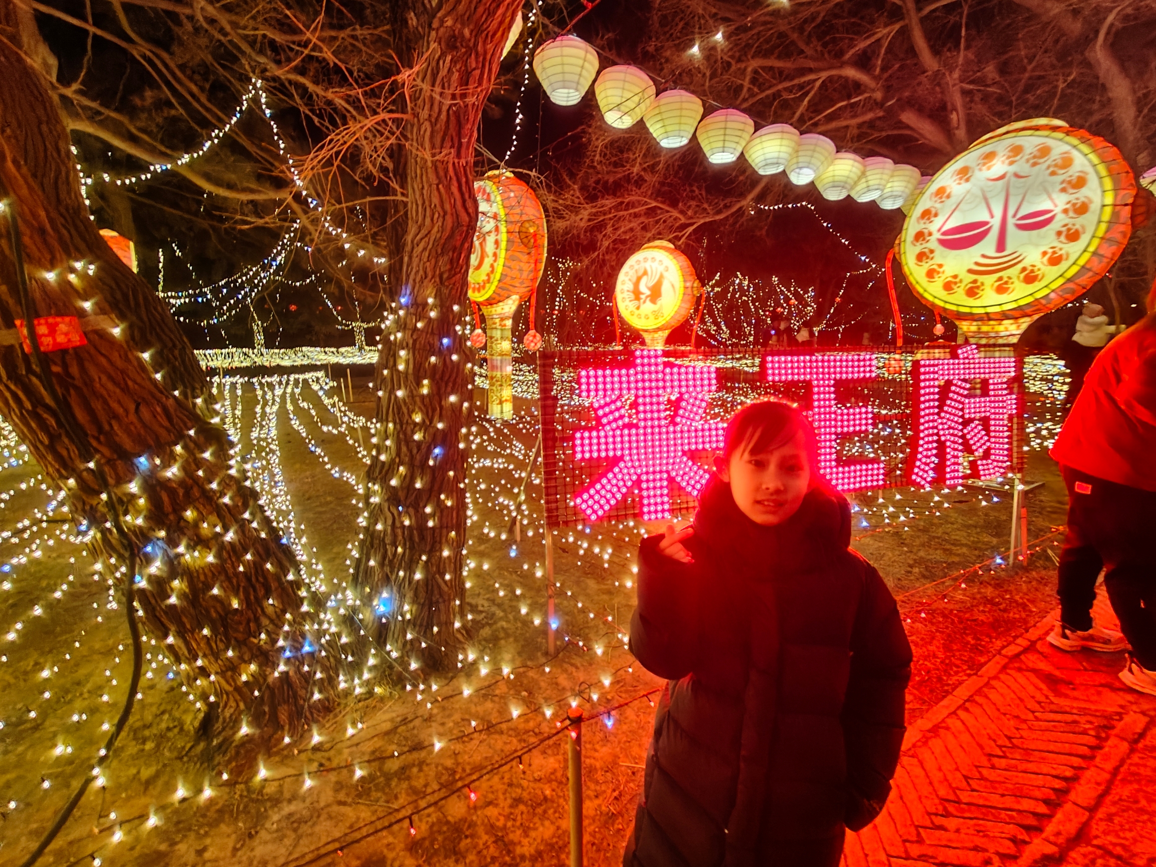 过大年 看灯展