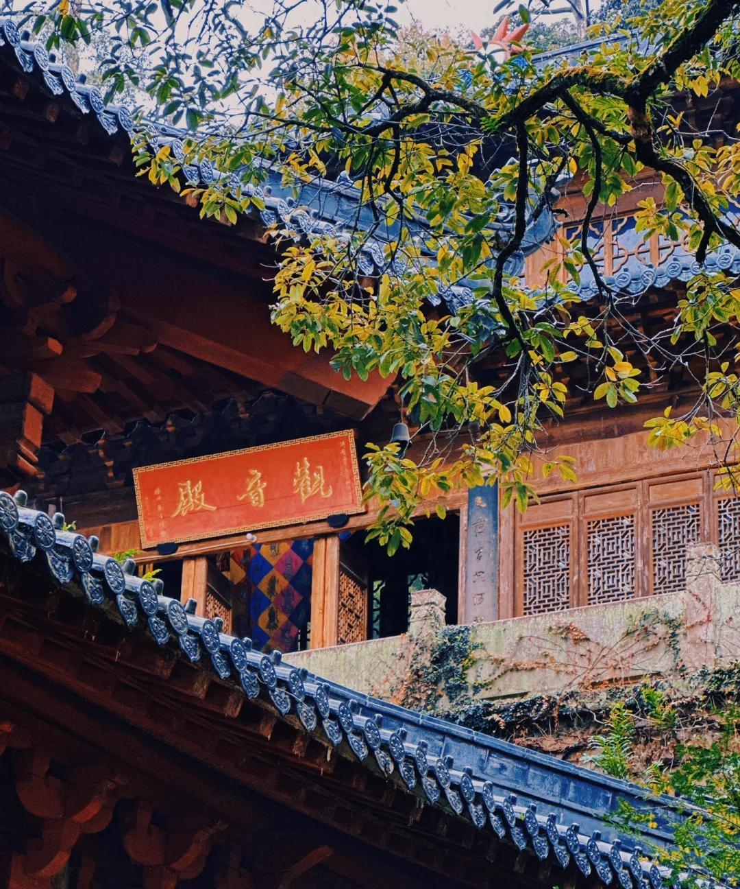 国清寺：秋雨清幽，枫叶飘香