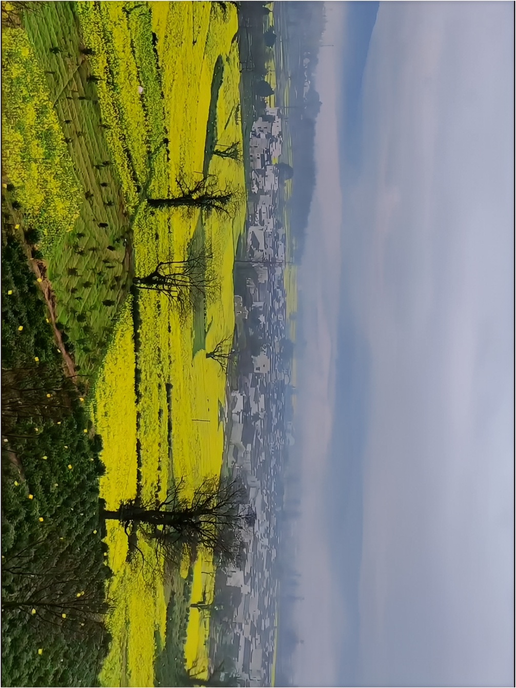 免费赏花宝藏村落《卢村》