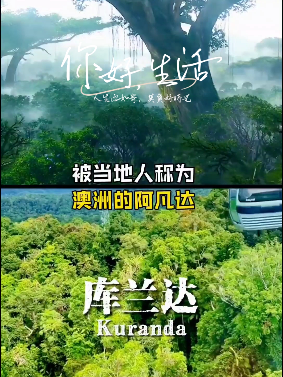 带你了解澳洲神秘的热带雨林！