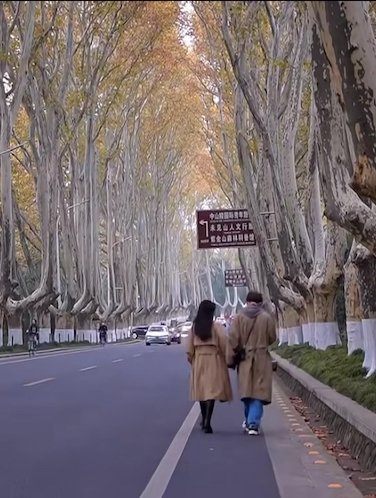 这个秋天 总要来一趟南京吧🍁 #南京小众景点 #南京文艺之旅