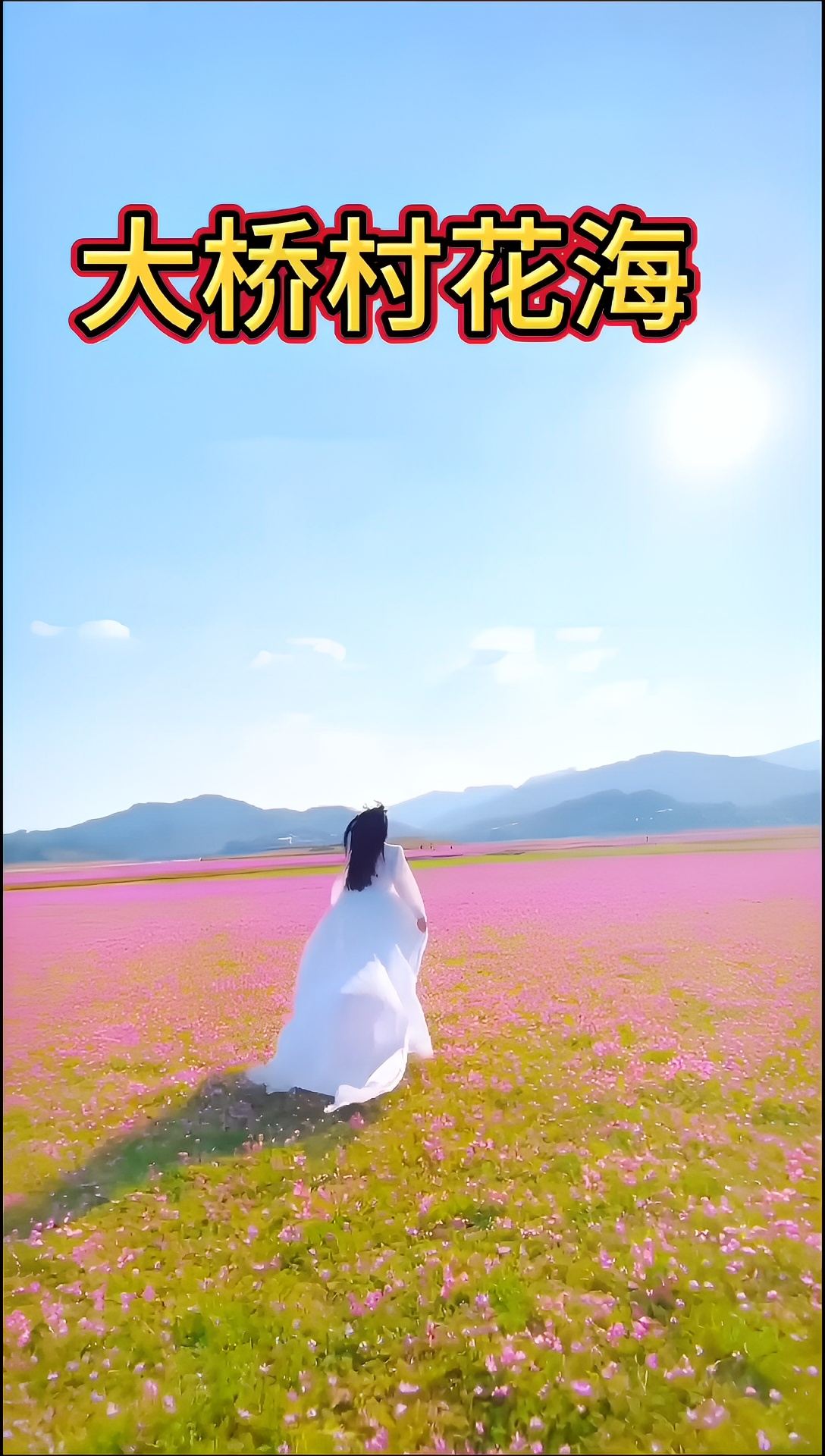桂林紫云英花海属于——春天的浪漫❤️