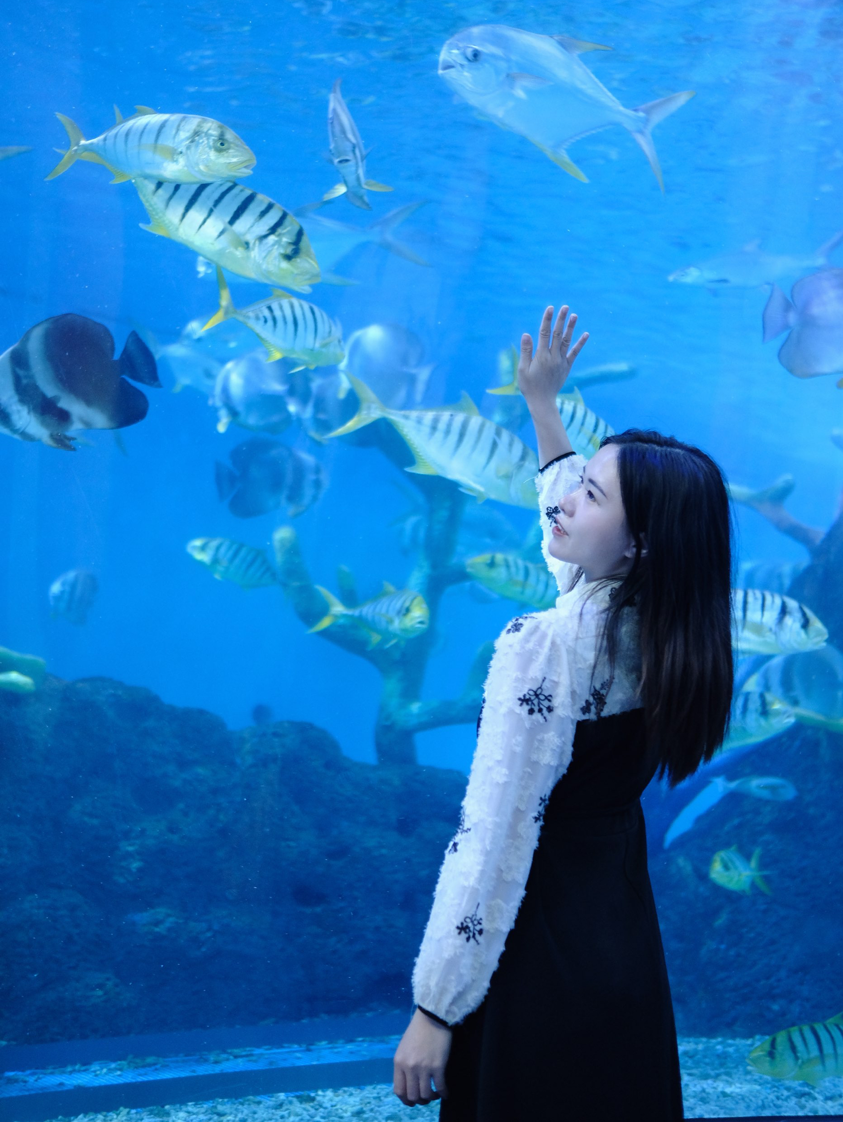 快跟我一起感受海洋世界的魅力吧 #海洋动物 #游乐园找童年 #国内浪漫旅行地 #寻找宝藏游乐园 #福