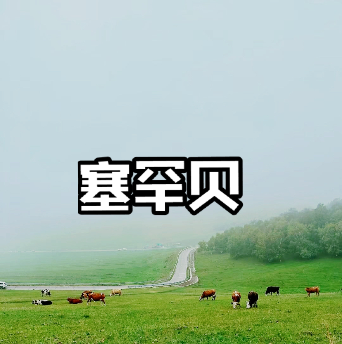 承德塞罕坝国家森林公园草原夏日避暑的好去处 北京周边出行，[WorldMap]去了承德丰宁的坝上草原