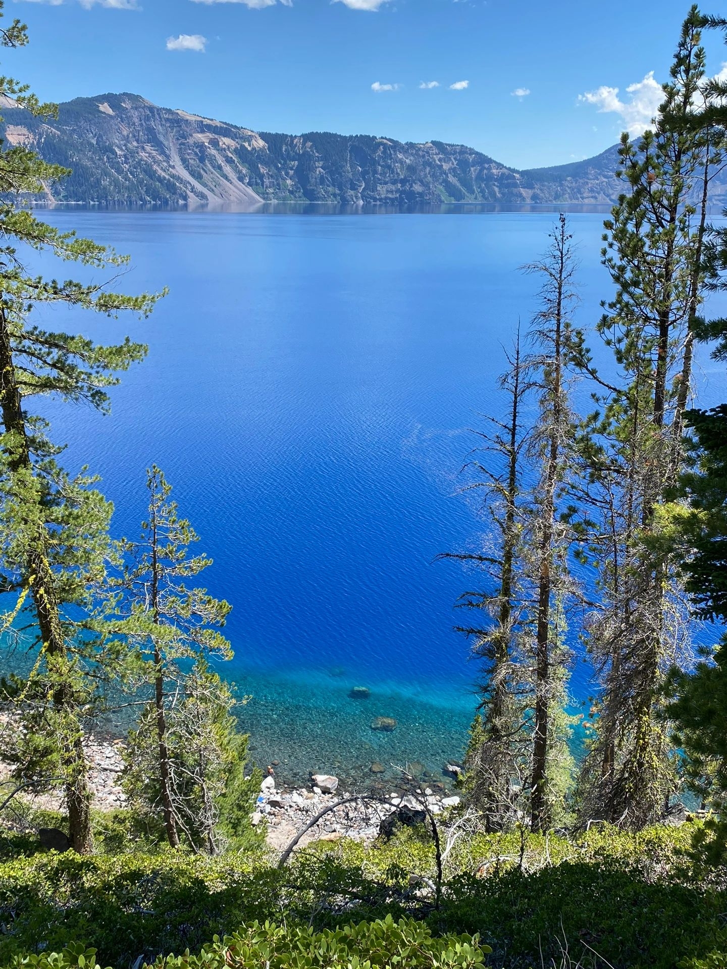 Crater Lake颜色蓝到不真实/火山湖国家公园