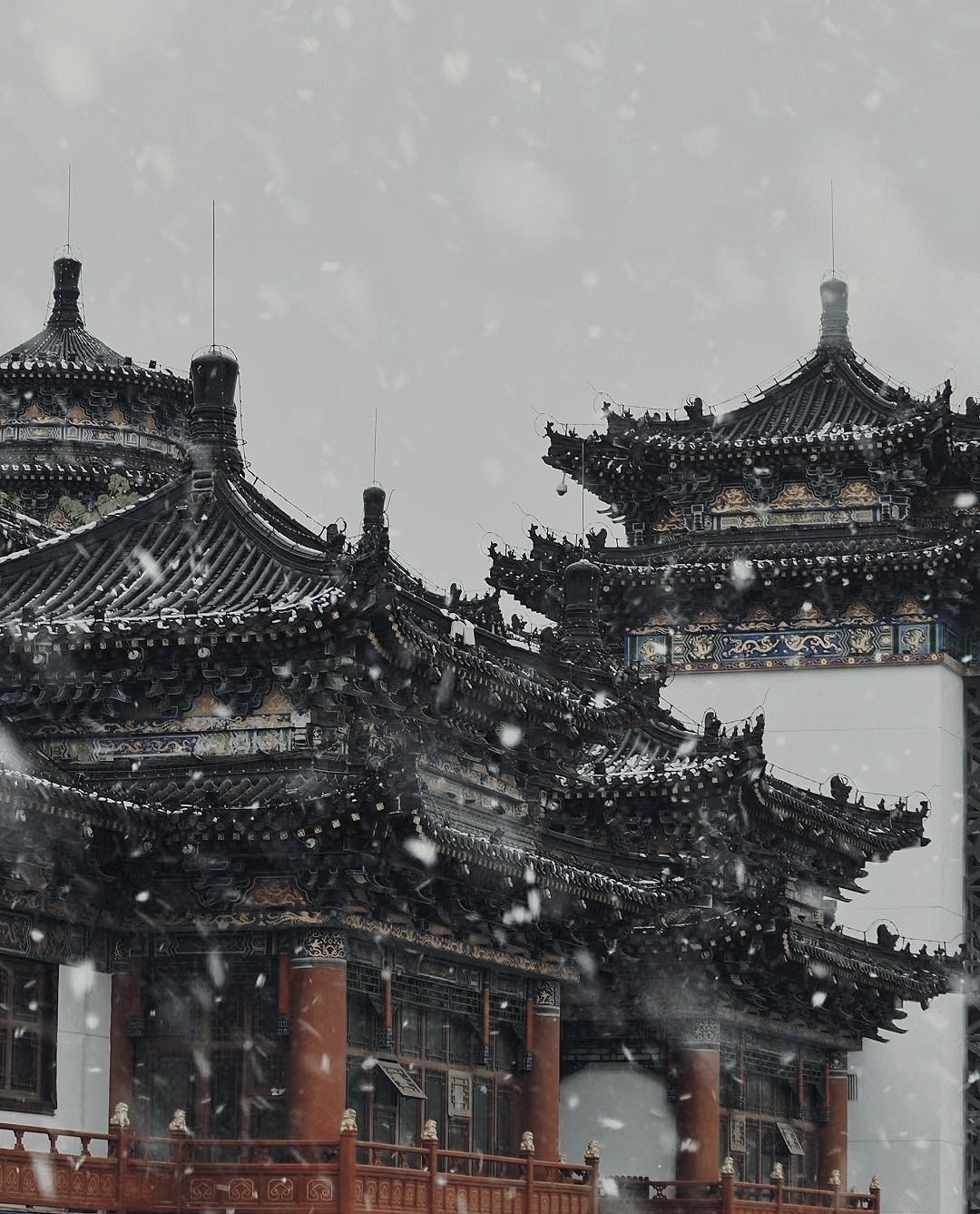 雪舞长安，诗意寒冬——记西安长安区的雪景之美  在这个寒冬季节，当北方大地银装素裹，千里冰封之时，位