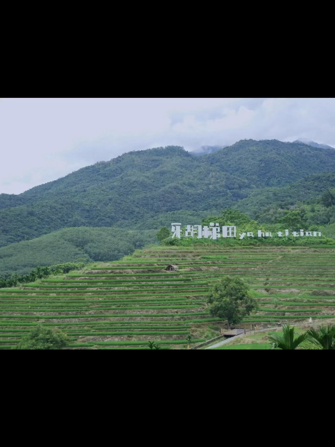 海南五指山美丽风景