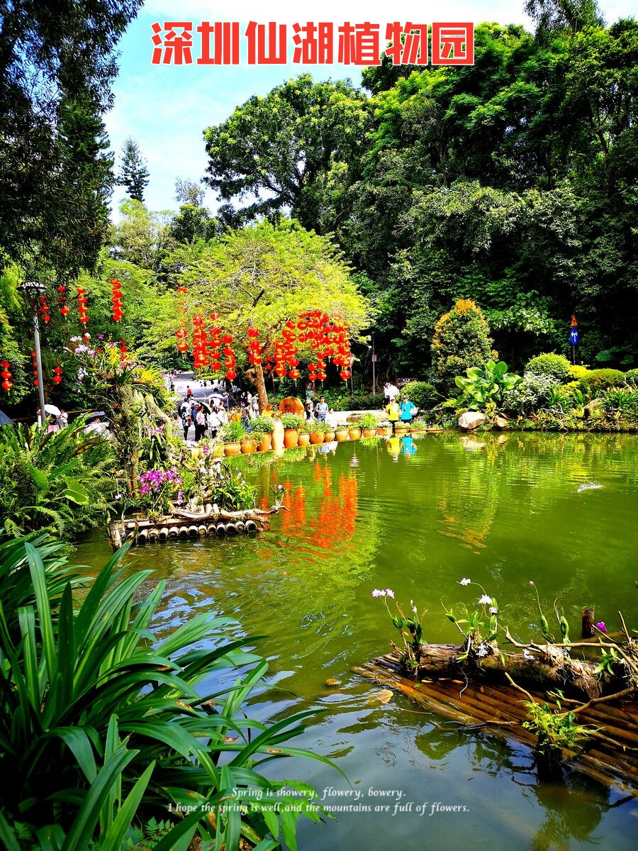 深圳仙湖植物园：城市绿洲中的科研与自然奇观