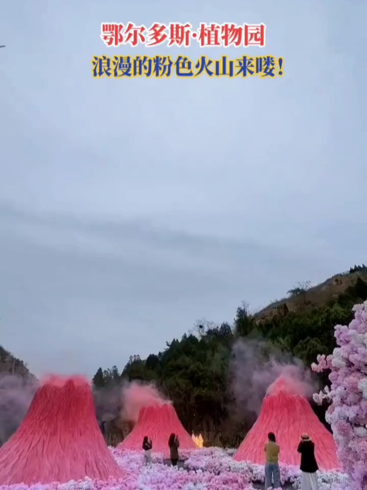 超火的花海粉红火山